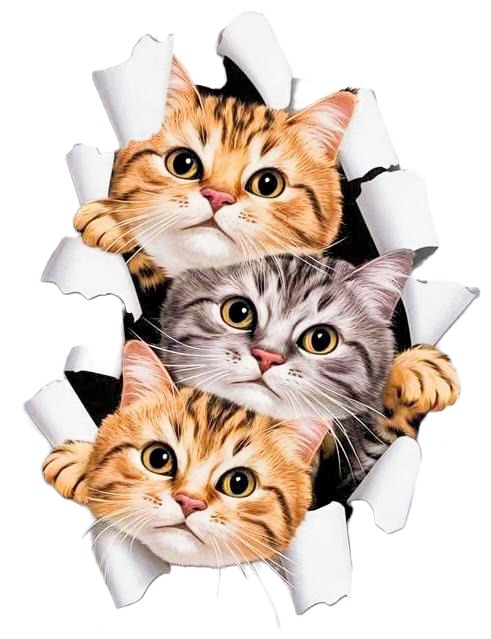 Kat2